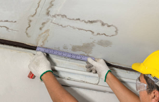 Reliable Mold Remediation contractor in Springfield, IL by Water Damage Irwin